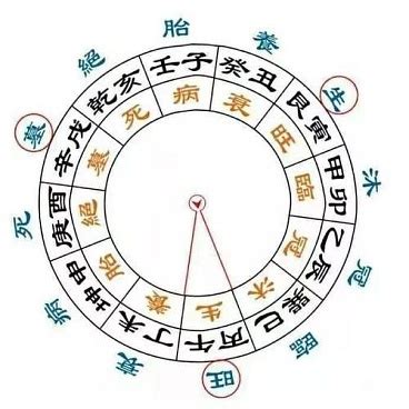 十天干十二地支|天干地支（中国古代天文历法）